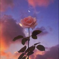 Pending review - Ban for GR1.8 | Daemon Blackwood | RP GRAND | Forum