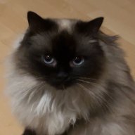 Kai Portofino